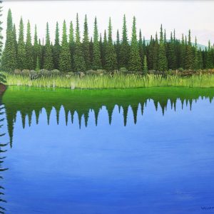 Beaver Pond